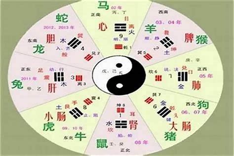 綾五行|綾字的五行属性